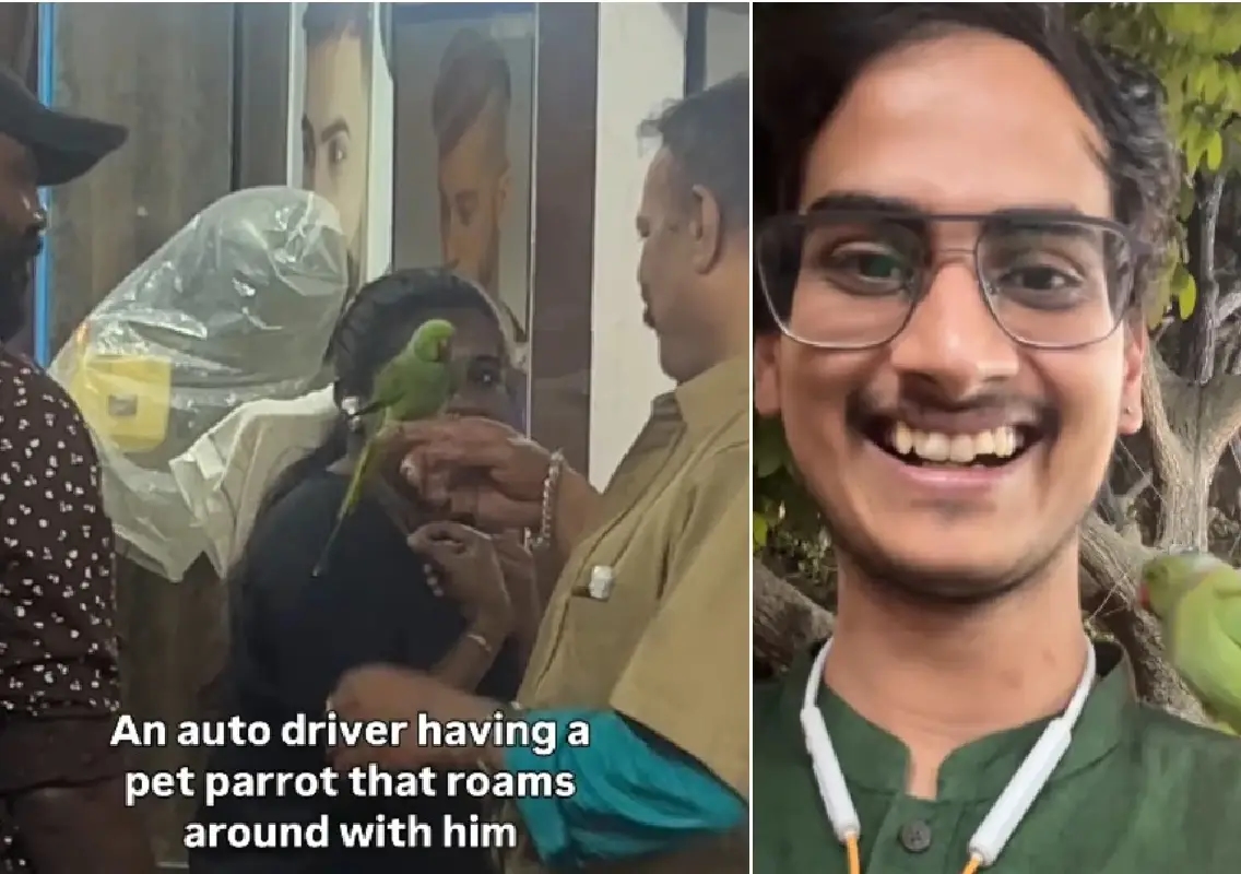 Bengaluru auto driver’s pet parrot ride melts hearts online - News Karnataka