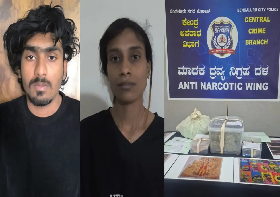 Bengaluru couple used pet dogs to hide ₹18 crore drug stash - News Karnataka