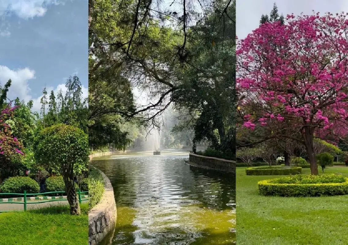 Bengaluru’s green spaces offer calm in a busy city - News Karnataka