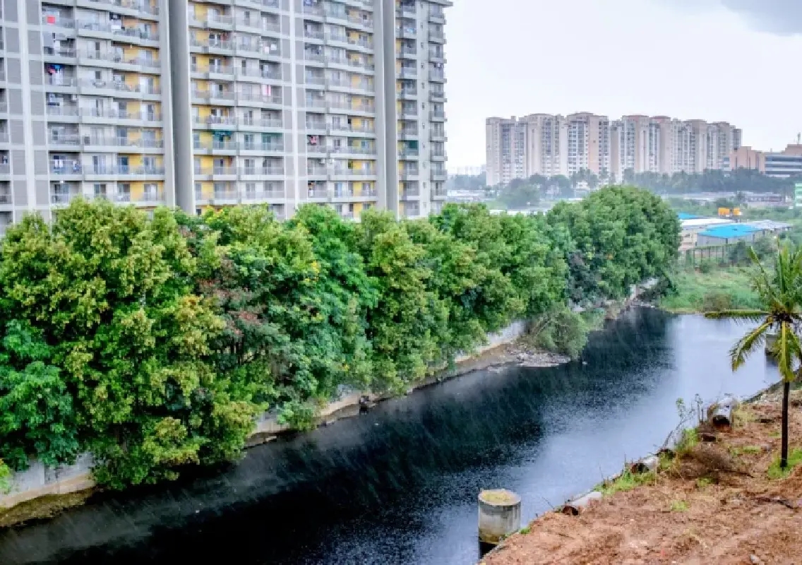 City lakes drained, authorities assure full rejuvenation - News Karnataka