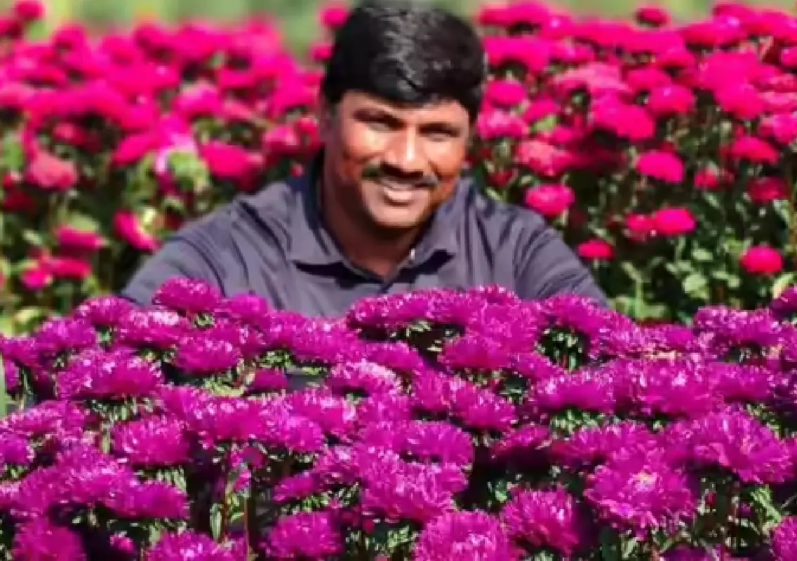 Dropout builds ₹70 crore flower empire near city - News Karnataka