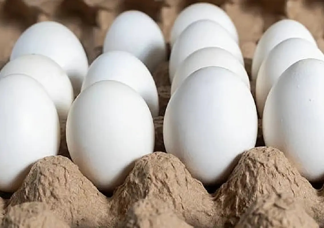 Egg prices crash in Bengaluru, traders face heavy losses - News Karnataka