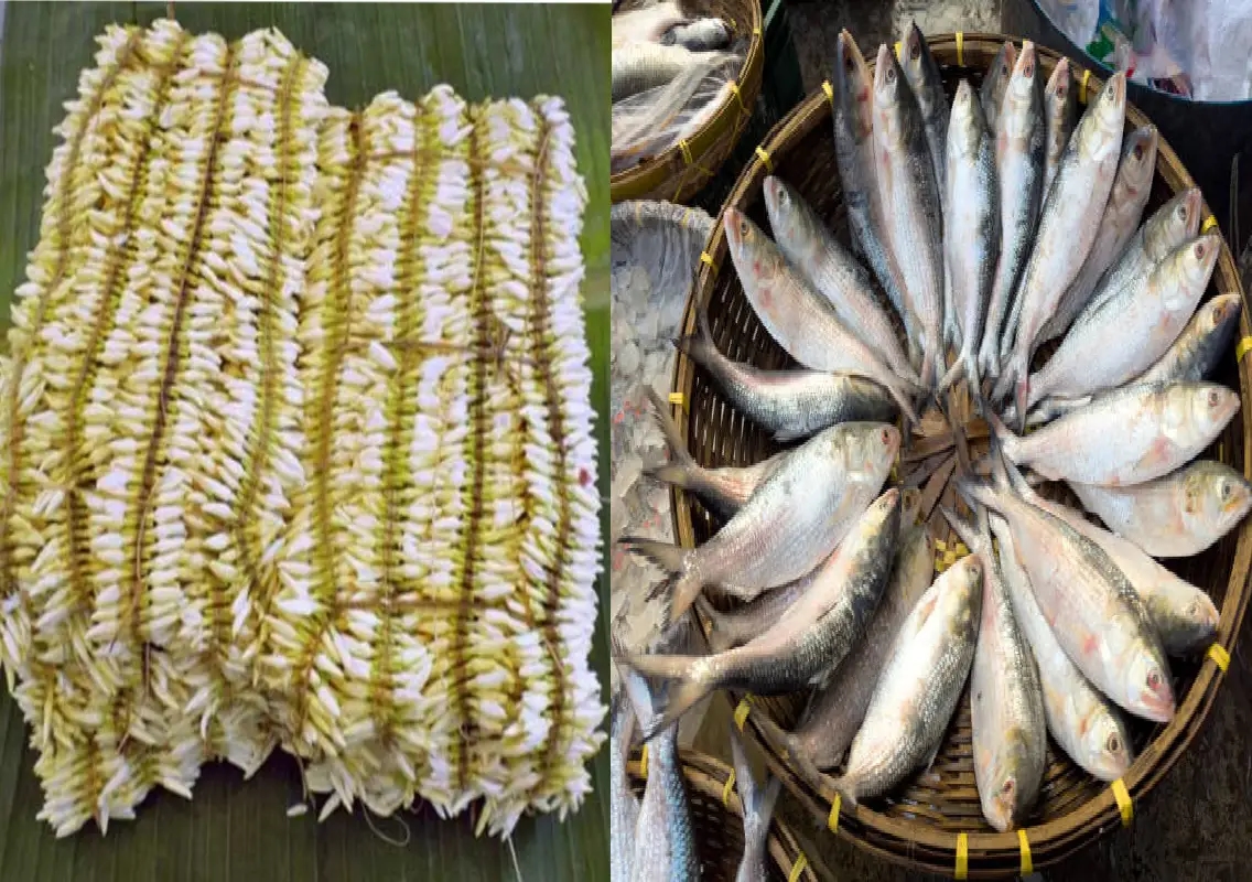 Fish and jasmine exports hit in Mangaluru amid West Asia conflict - News Karnataka