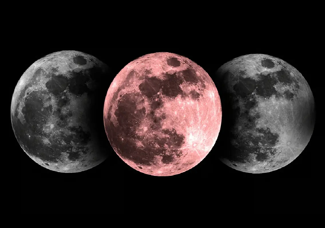 Food festival in Bengaluru to challenge eclipse myths - News Karnataka