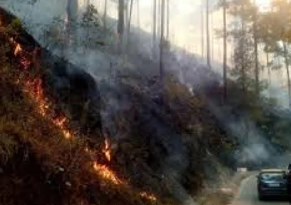 Forest fire erupts in Chamoli hills amid dry weather - News Karnataka