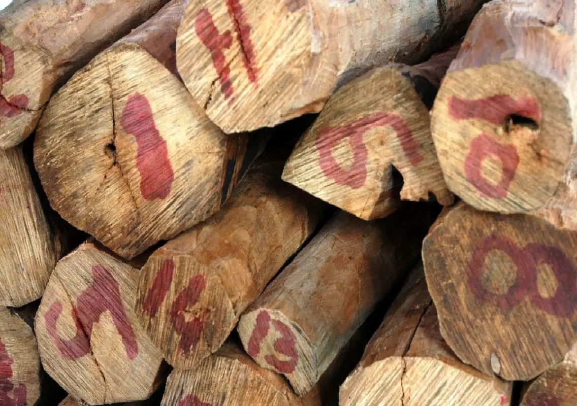 Growers seek halt to sandalwood auction over pricing row - News Karnataka