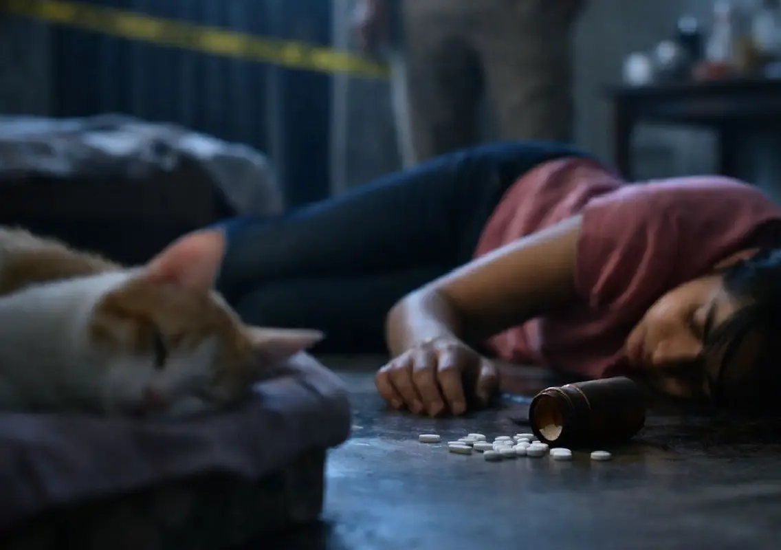 Hyderabad student dies by suicide after pet cat’s death - News Karnataka