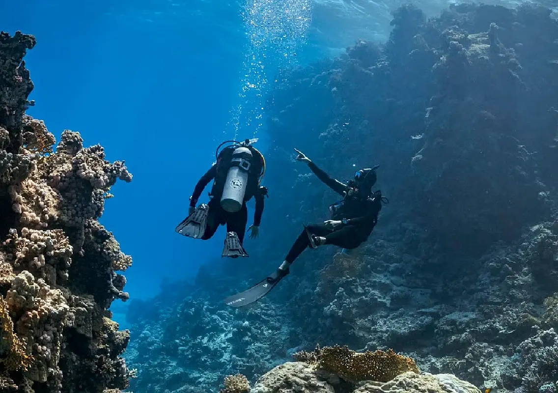 Indian tourist dies after being rescued from ocean in Florida Keys - News Karnataka