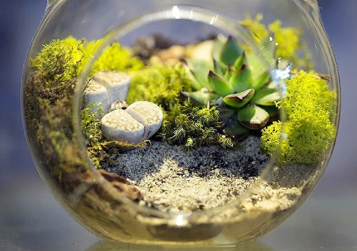 Laxmi Shenoy to lead Rainforest Jar workshop in Manipal - News Karnataka