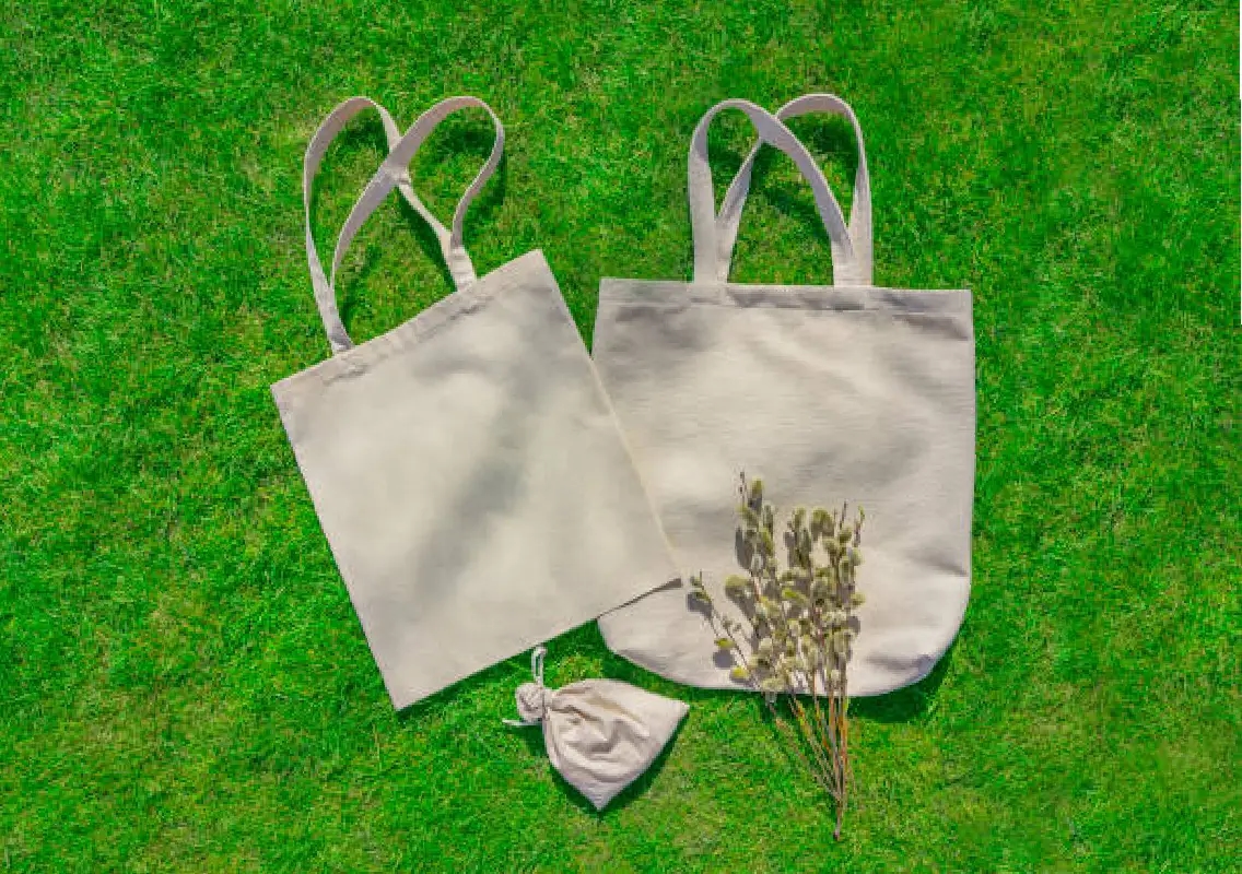 MCC rolls out free cloth bags to curb plastic use in Mangaluru - News Karnataka