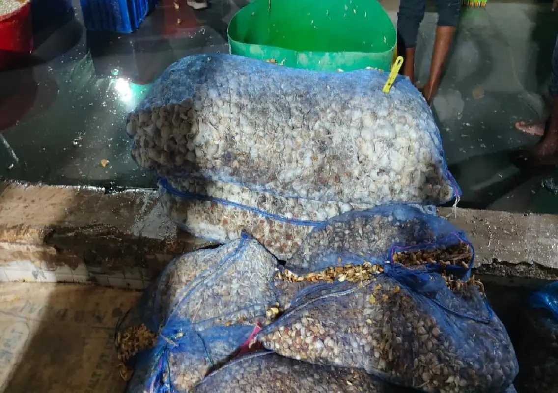 Man held for making adulterated ginger-garlic paste in Hyderabad: WATCH - News Karnataka