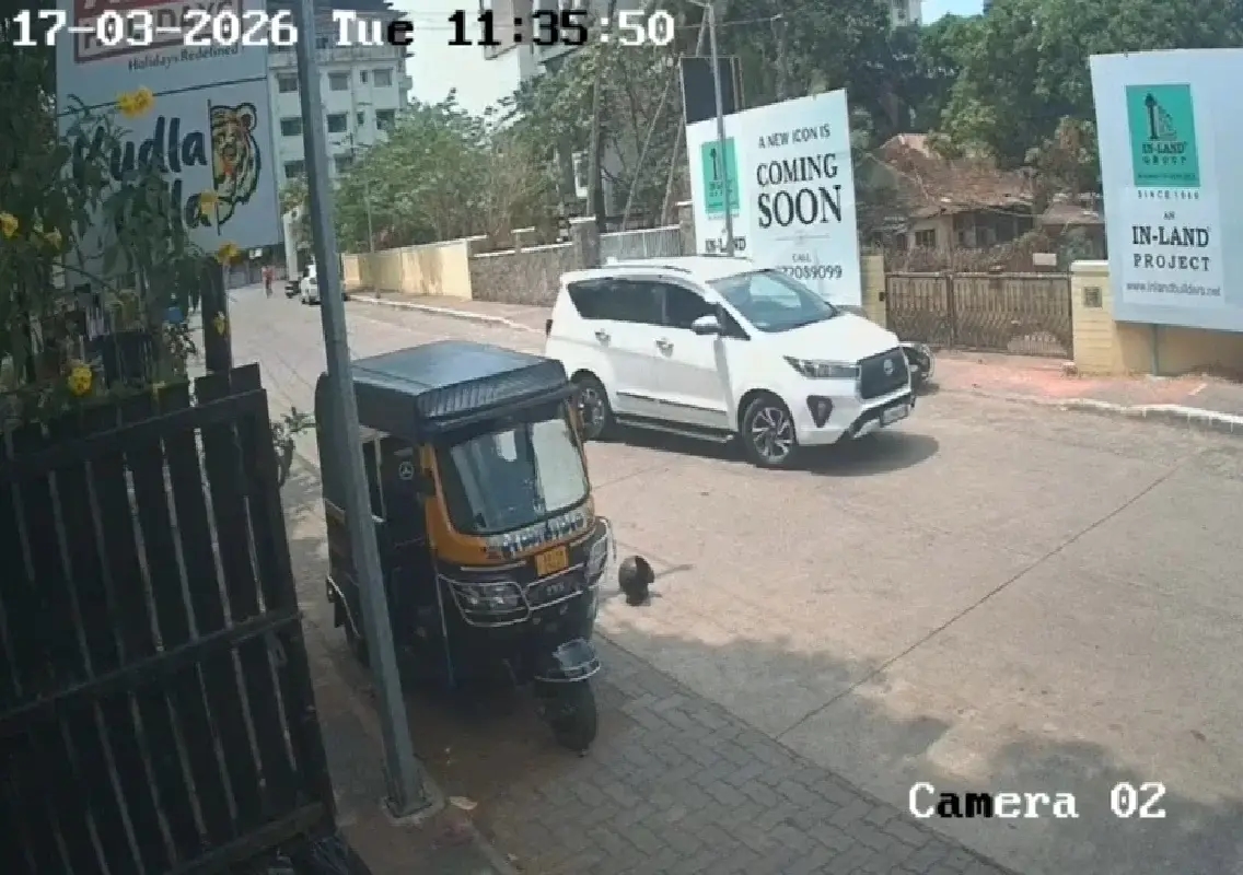 Mangaluru man arrested for attempt to murder over land dispute: WATCH - News Karnataka