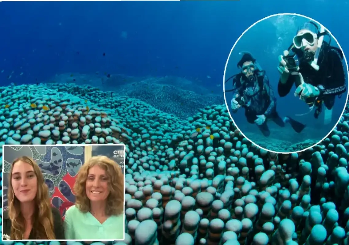 Mother-daughter duo discover reef’s largest coral - News Karnataka