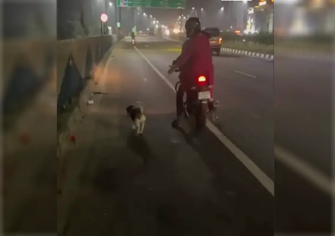 Outrage after couple forces dog to run beside bike on expressway: WATCH - News Karnataka