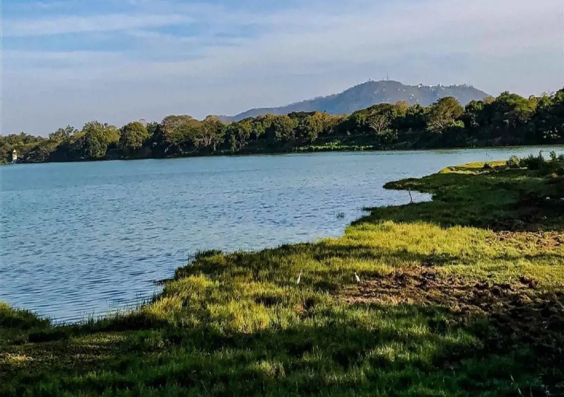 Row erupts over commercial project near Kukkarahalli lake - News Karnataka