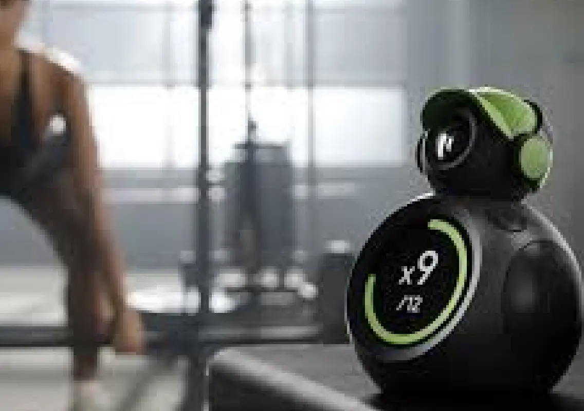 Startup pivots to AI fitness coach, targets real motivation gaps - News Karnataka
