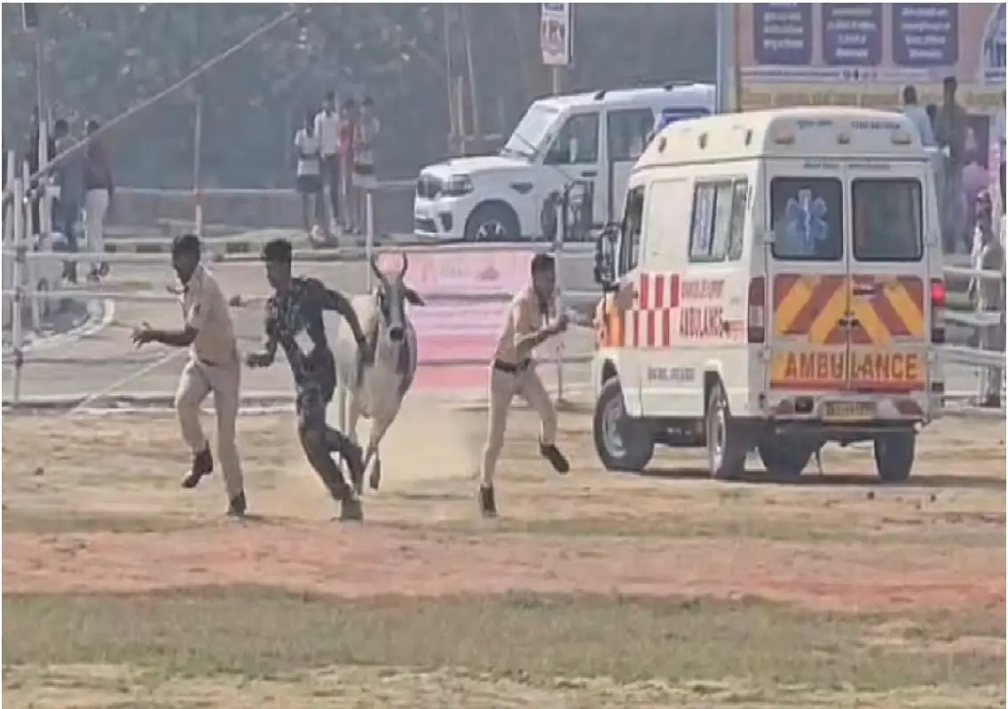 Stray bull runs onto Begusarai helipad before Nitish Kumar’s visit: WATCH - News Karnataka