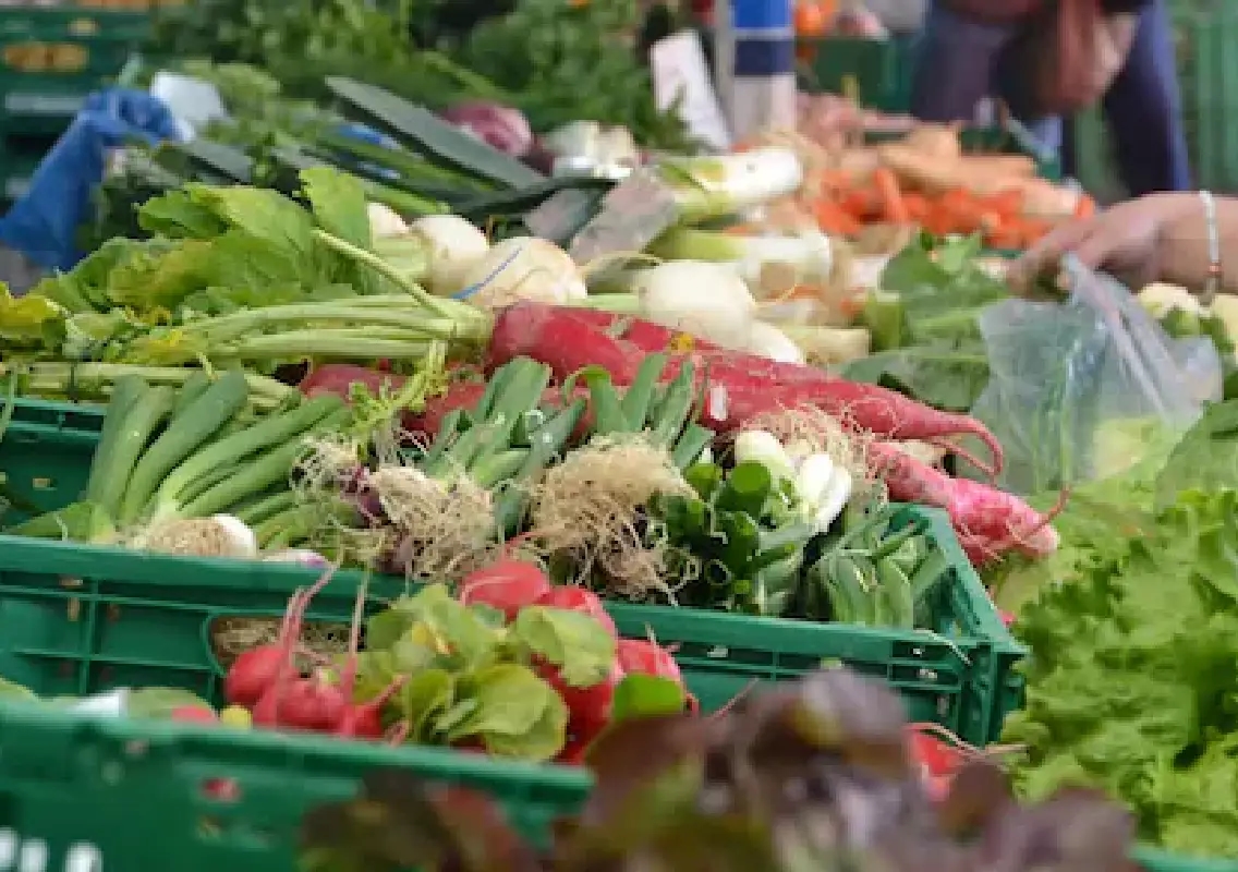 Study finds lead contamination in vegetables sold near Bengaluru - News Karnataka