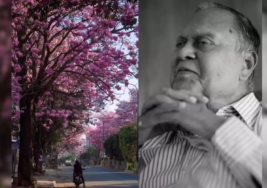 The IFS officer who planted 15 lakh trees and painted Bengaluru pink - News Karnataka