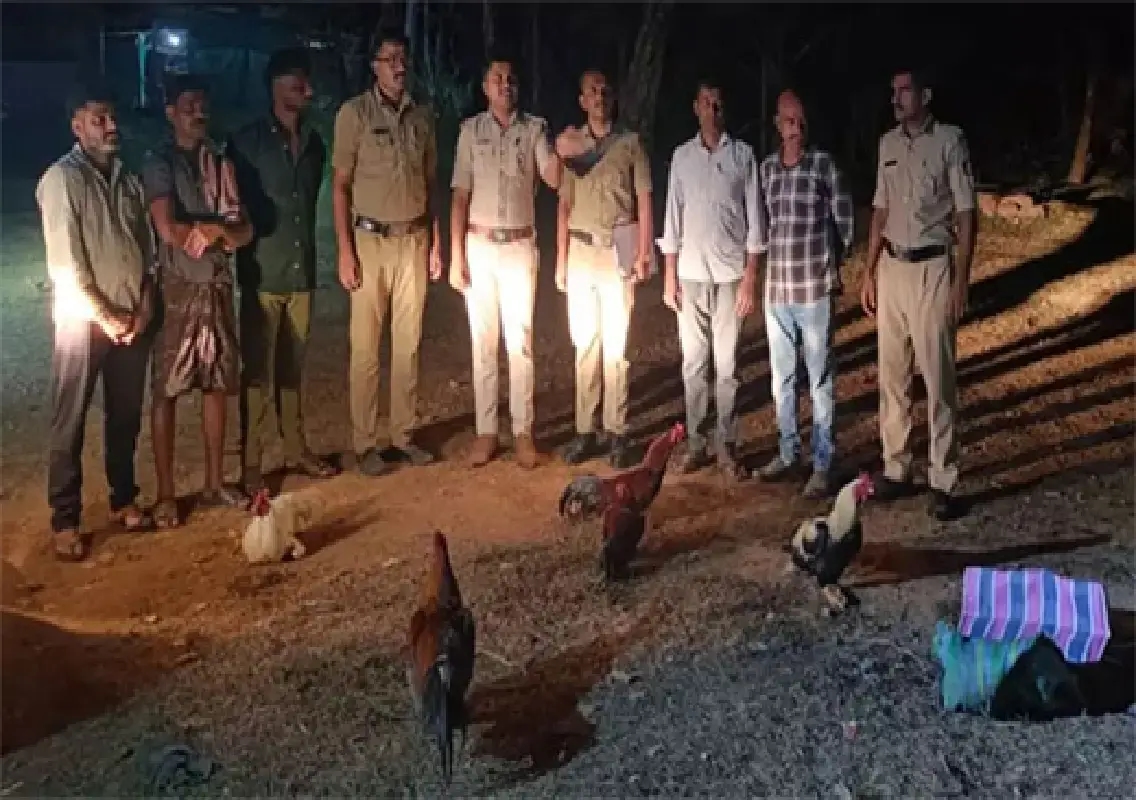 Three arrested in cockfighting raid near Uppinangady - News Karnataka