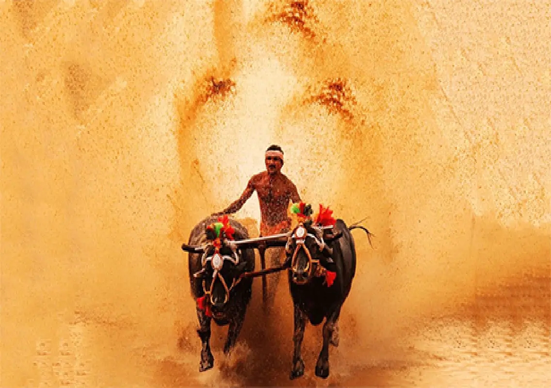 War of words erupts over Udupi Kambala land issue - News Karnataka