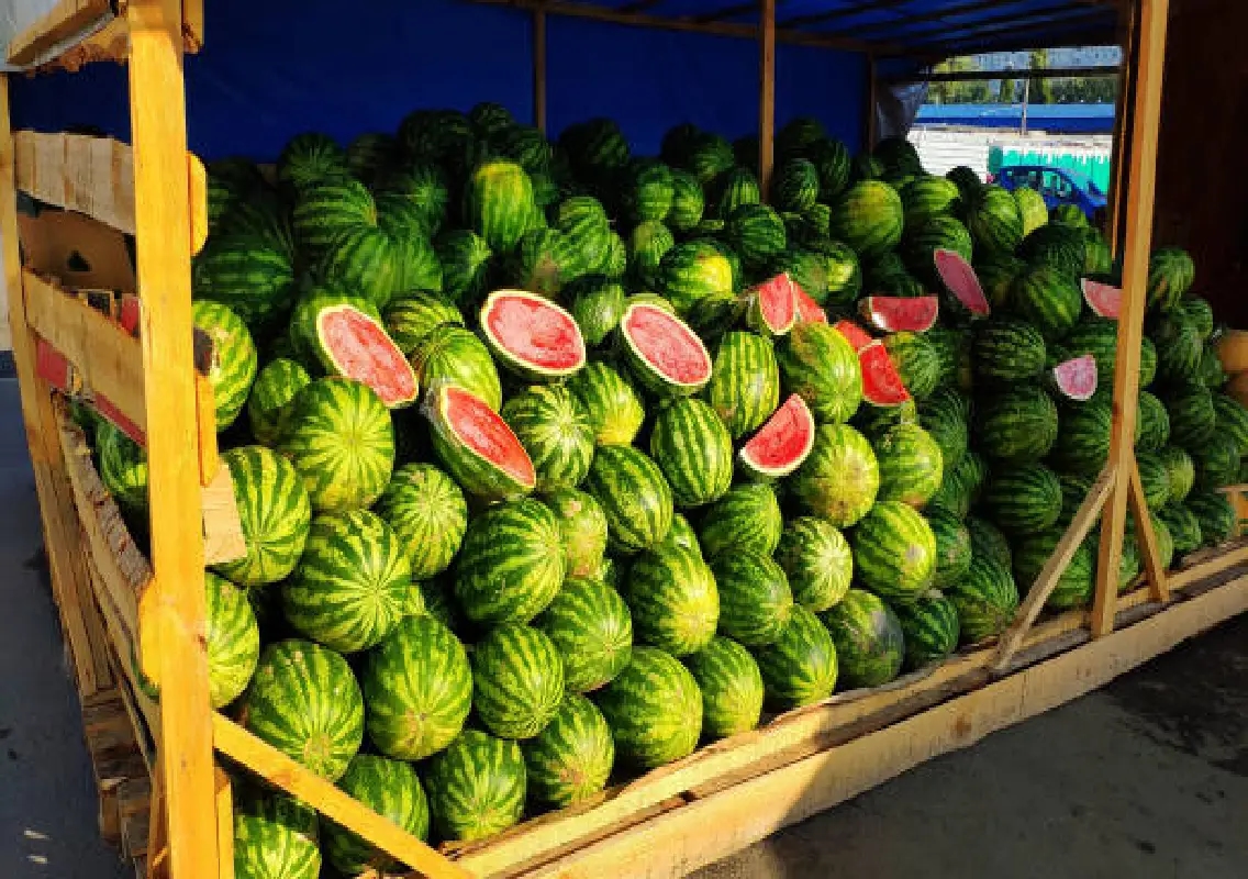Watermelon demand surges as Mysuru heats up - News Karnataka