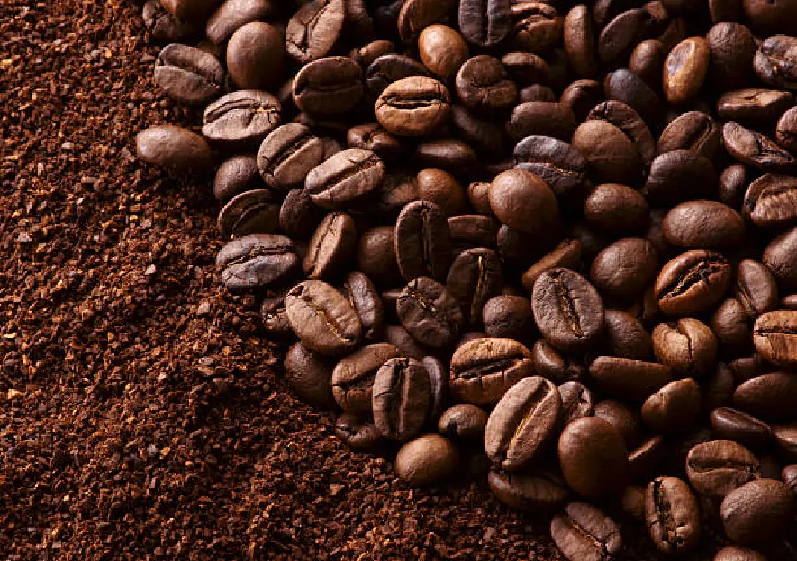 West Asia crisis disrupts coffee exports from Mangaluru - News Karnataka