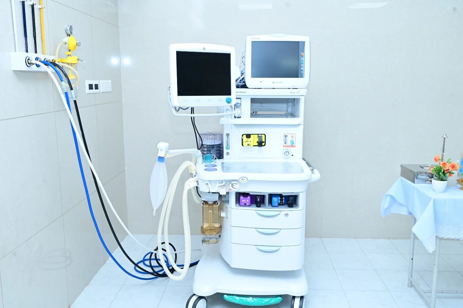 Gallery image 12