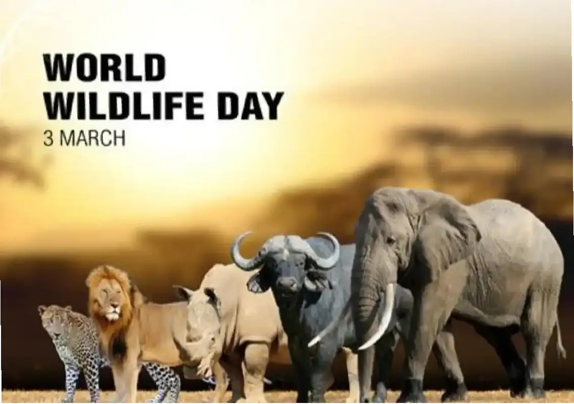 World Wildlife Day 2026: Protecting nature for future generations - News Karnataka