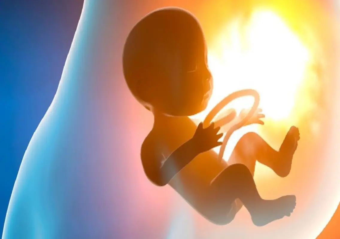 Bengaluru doctors save unborn baby after rare heart emergency - News Karnataka