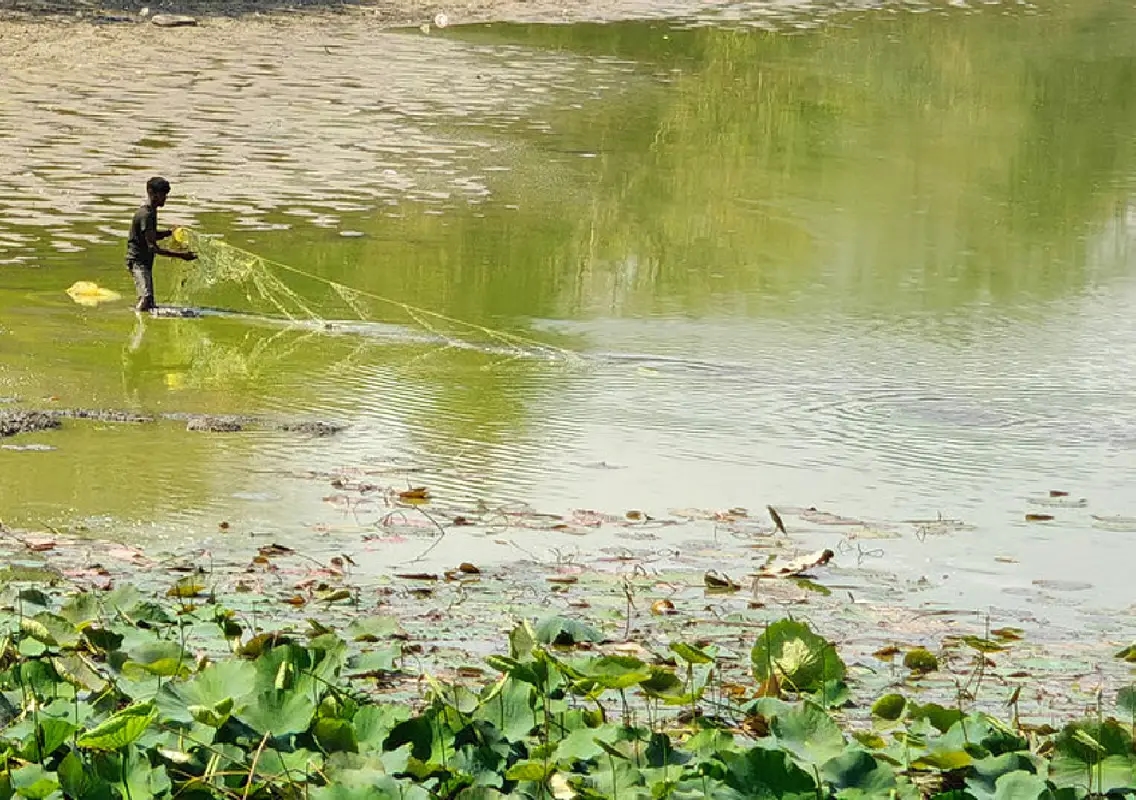 Eight Bengaluru lakes to get treated water boost next month - News Karnataka