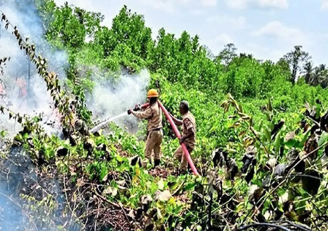 Elderly man dies after plantation fire in Karkala - News Karnataka