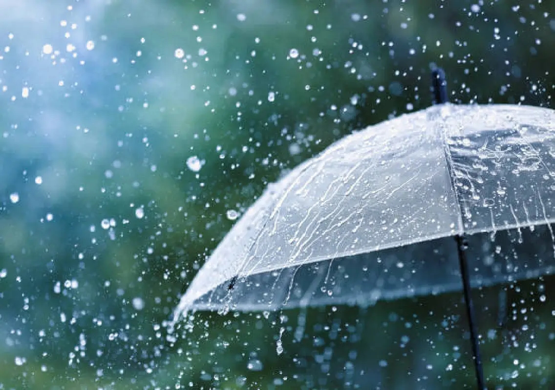 Evening showers bring respite from Bengaluru heat - News Karnataka
