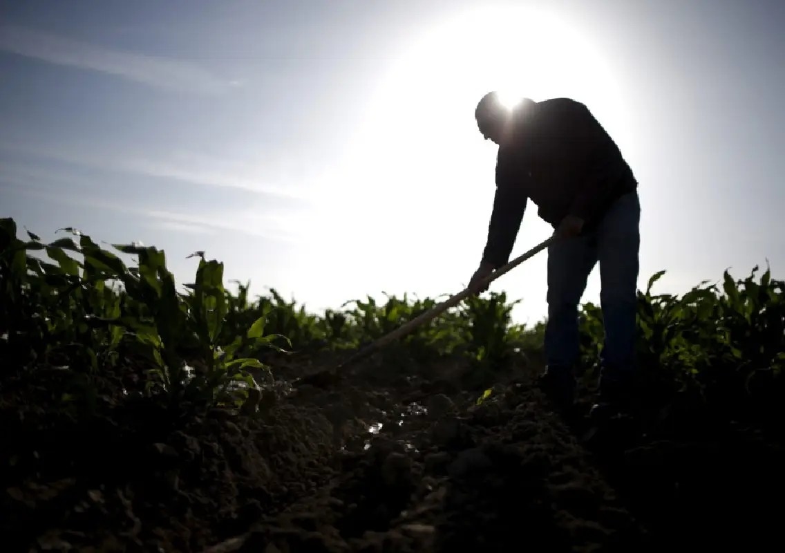Farm worker dies as heat wave scorches Telangana - News Karnataka