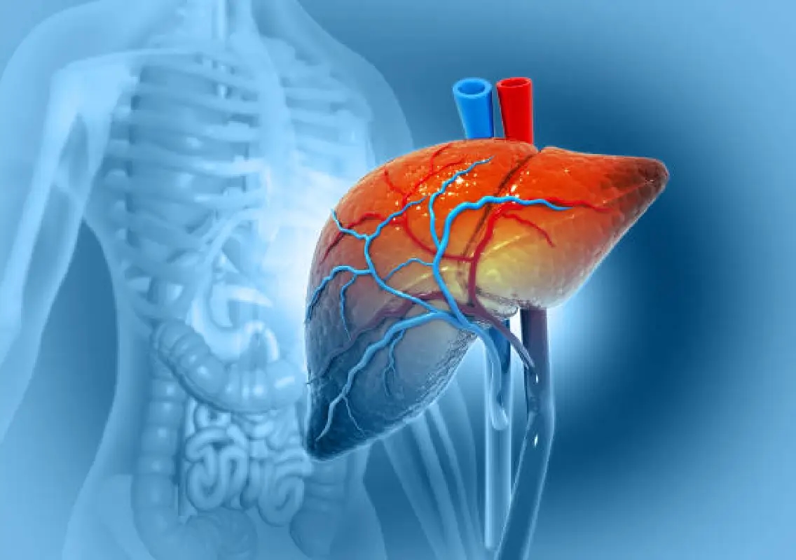Fatty liver cases rising among children, warn doctors - News Karnataka