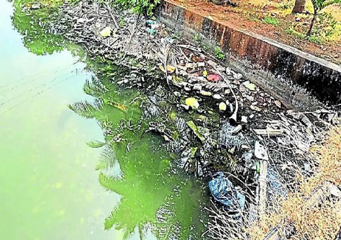 Fine imposed for dumping garbage into Kumaradhara river - News Karnataka
