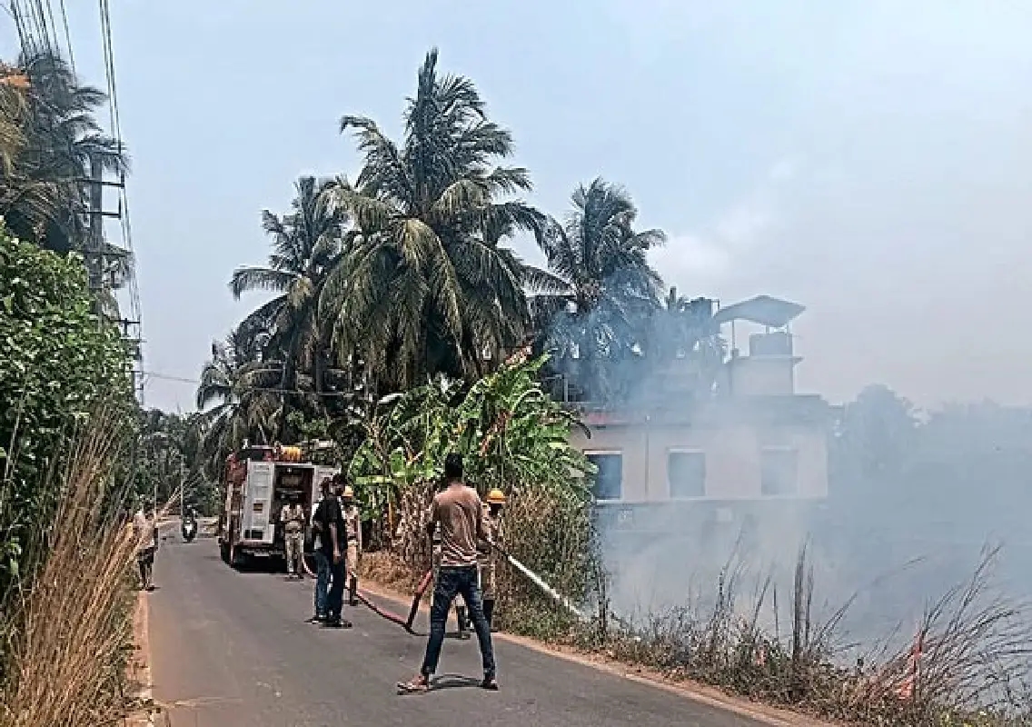 Grassland fire in Udupi damages five acres - News Karnataka