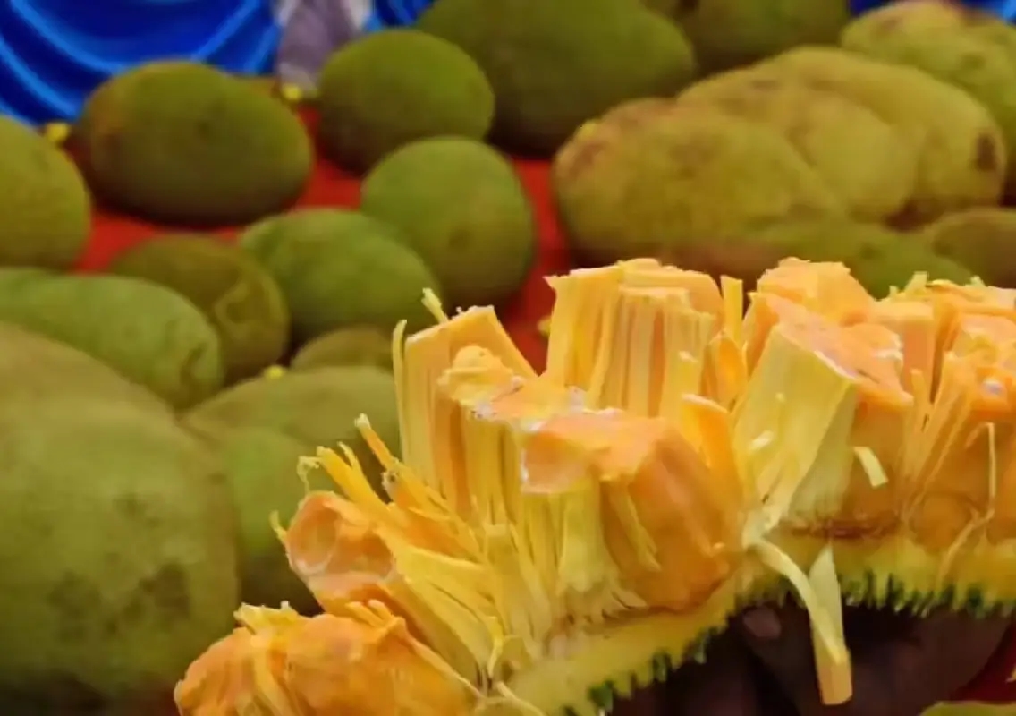Jackfruit prices soar in Karnataka as urban demand rises - News Karnataka