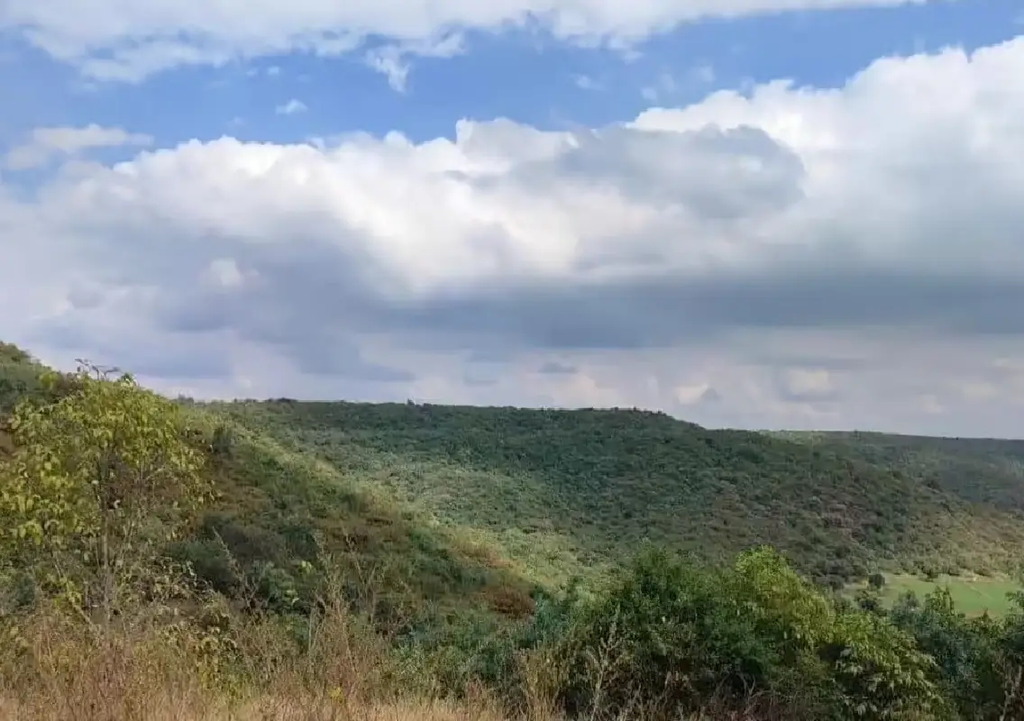 Kalaburagi’s hottest taluk to get new wildlife reserve - News Karnataka
