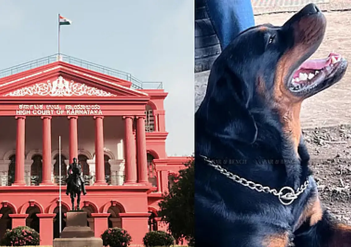 Karnataka HC extends stay on FIR against DRDO staff over dogs - News Karnataka