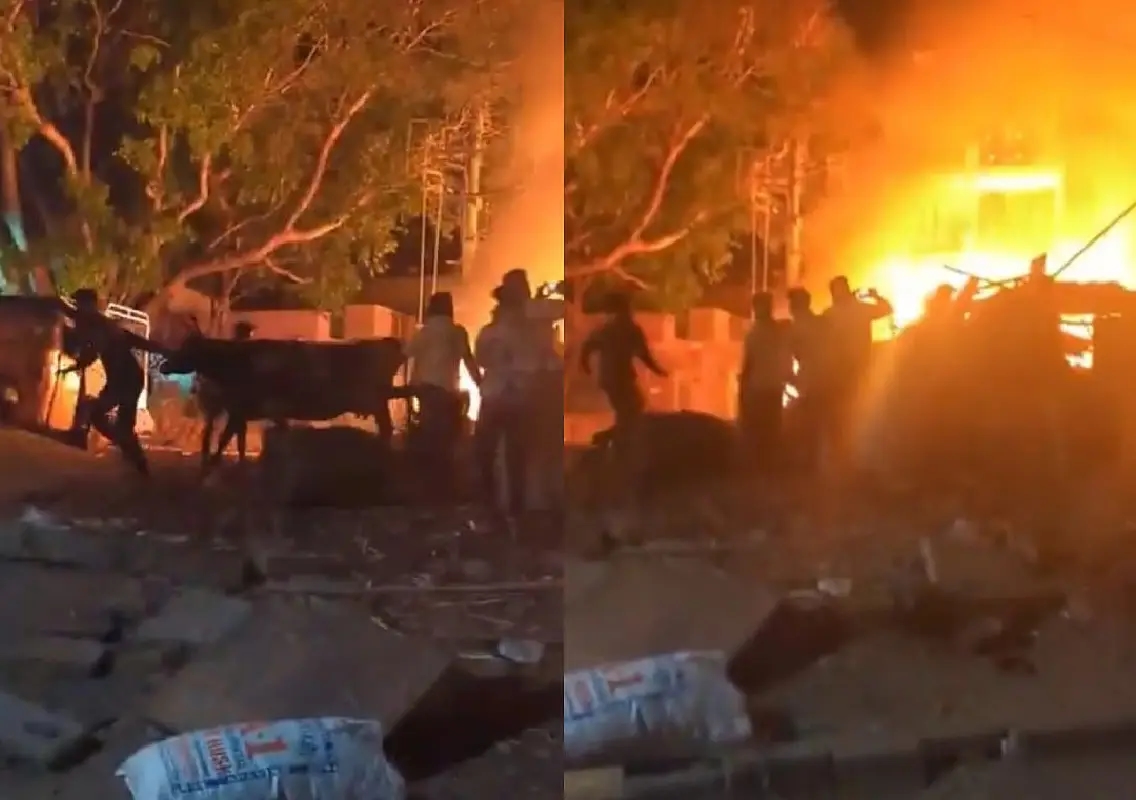 Man arrested after fire kills five cows in Bengaluru - News Karnataka