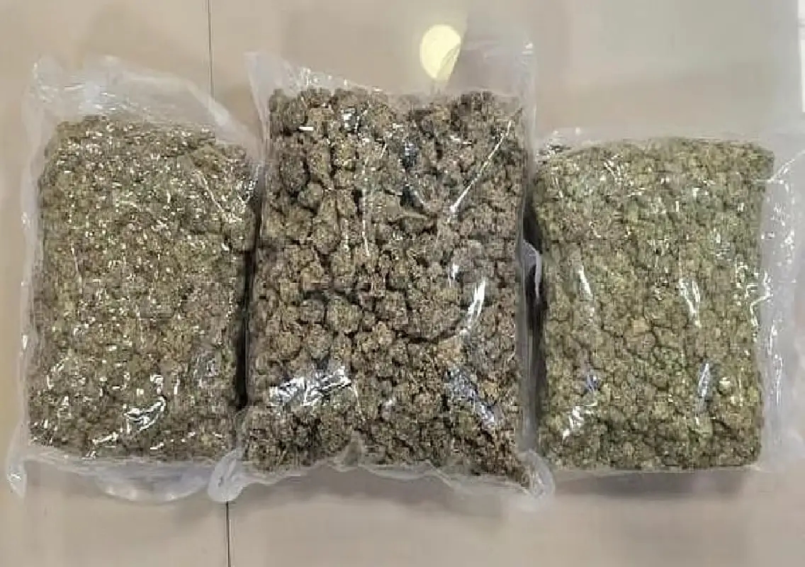 Mangaluru police arrest five students in ganja peddling case - News Karnataka