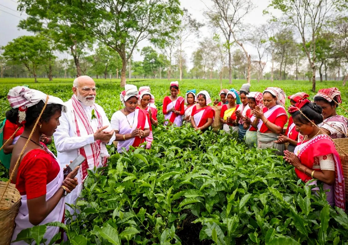 Modi visits Assam tea garden ahead of polls: WATCH - News Karnataka