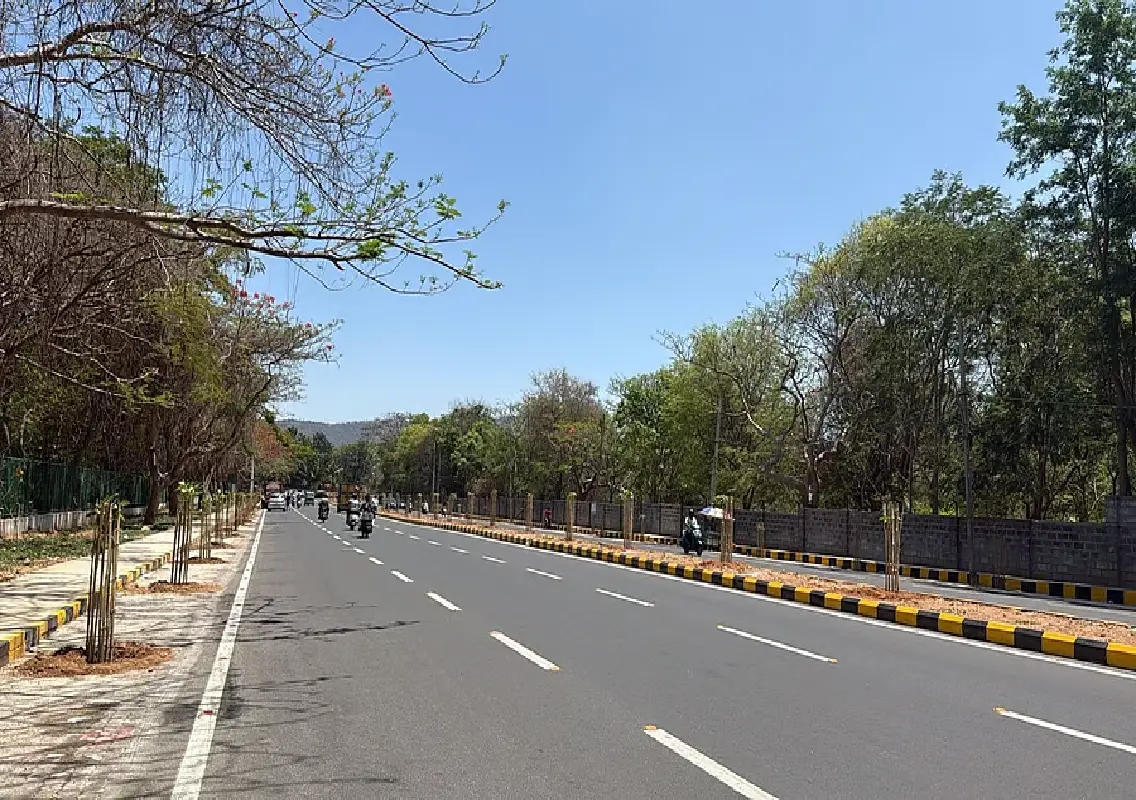 Mysuru plants 122 saplings on Hyder Ali Road after tree felling - News Karnataka