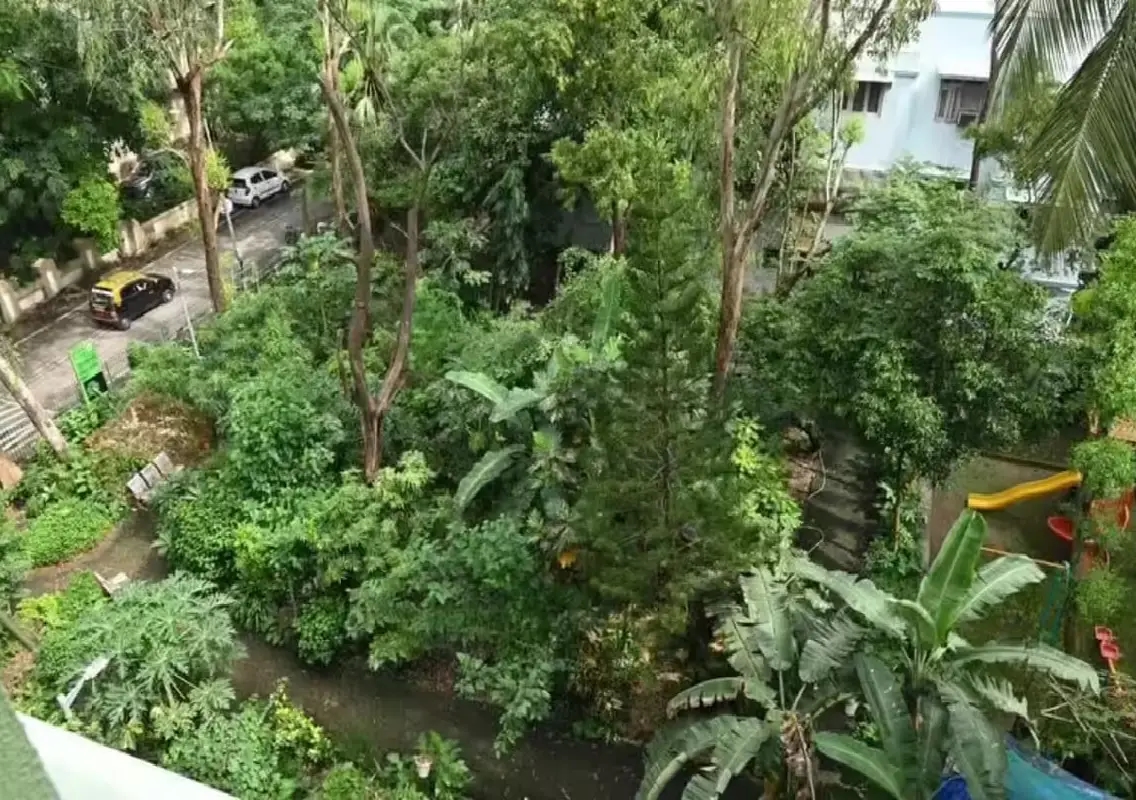 Mysuru to create 10 micro forests using Miyawaki model - News Karnataka