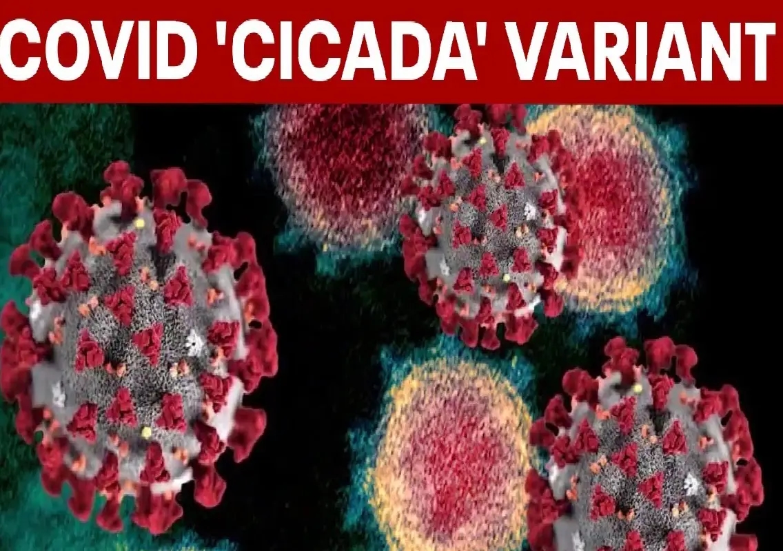 New ‘Cicada’ Covid variant raises concerns for children - News Karnataka