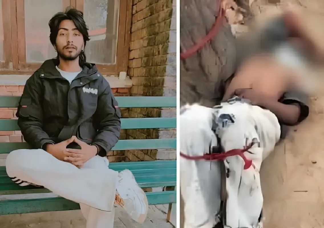 Punjab man tied to tree, beaten to death in Mansa - News Karnataka