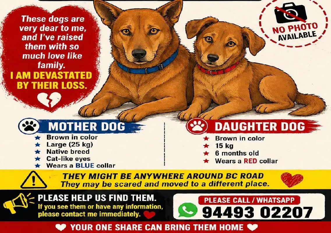 Puttur man searches for two pet dogs after neighbour abandons them near BC Road dumping yard - News Karnataka