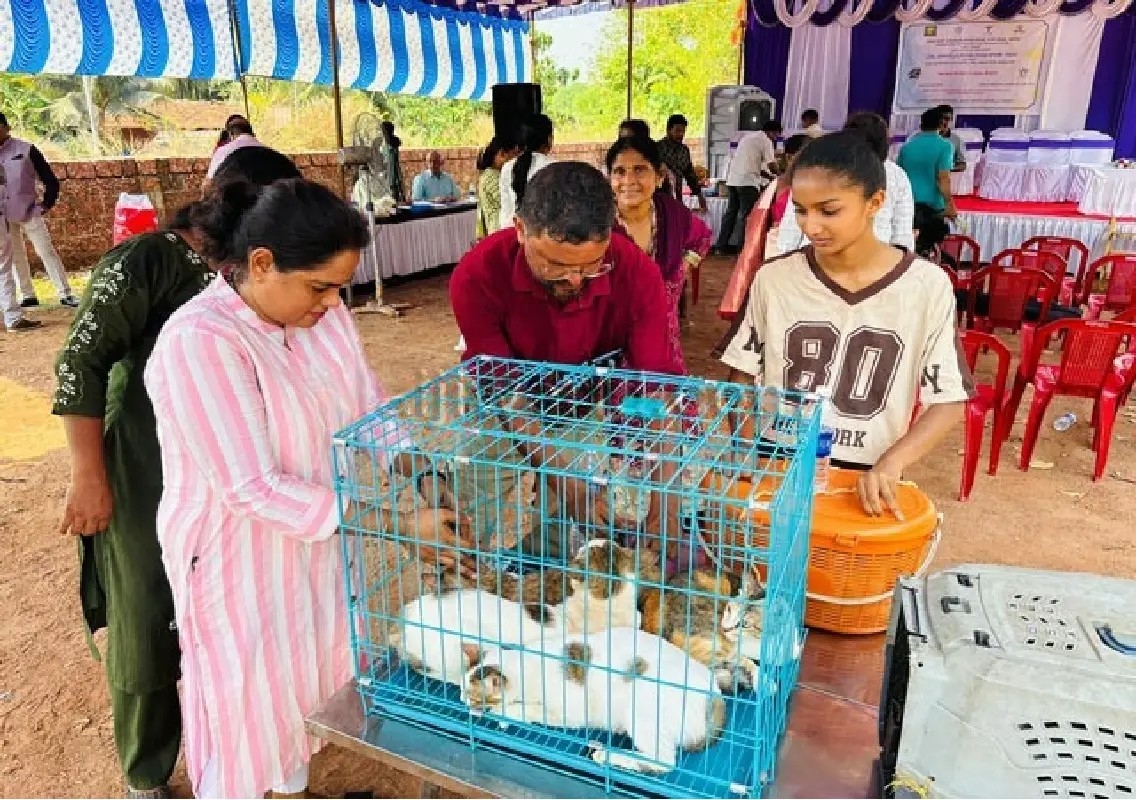 Rabies vaccination camp held in Mangaluru on World Veterinary Day - News Karnataka