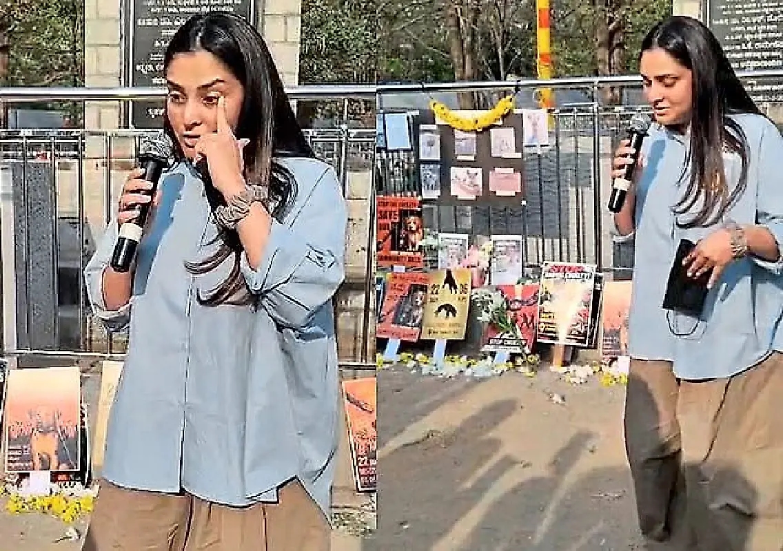 Ramya breaks down as Bengaluru street dogs go missing - News Karnataka